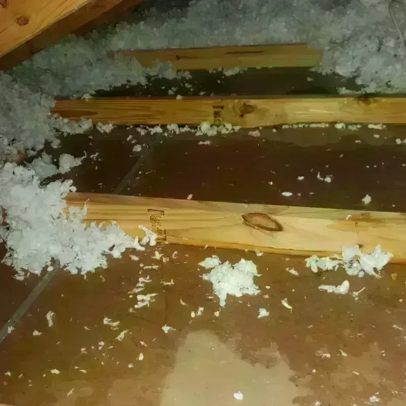 Attic Water Damage in Gowanda, NY